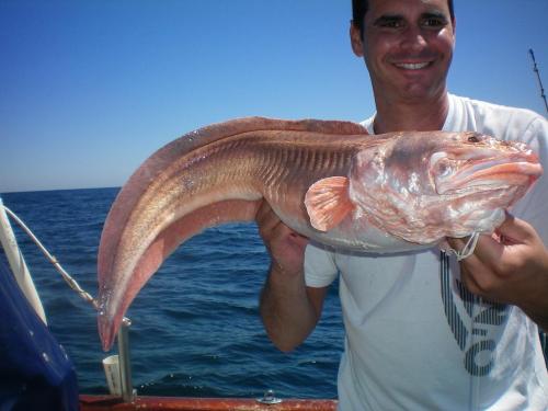 CHERNIAS Y ABADEJOS